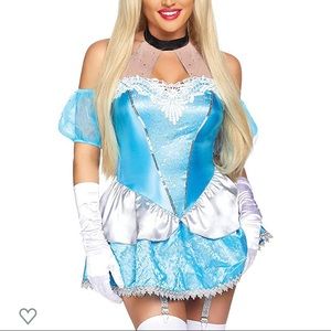 Sexy Cinderella/ princess costume